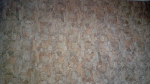 Kopia 20161109 122231